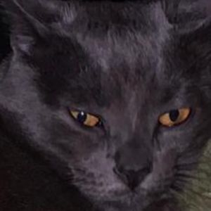 Meet your Posher, Lizbeth